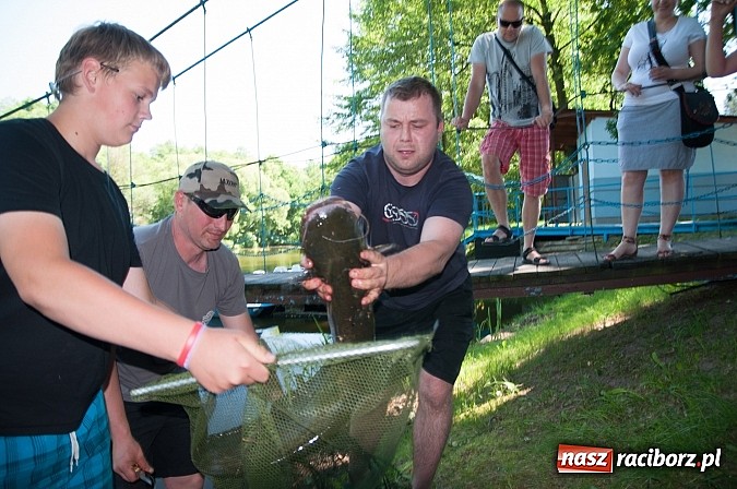 Zdjęcie w galerii na portalu naszraciborz.pl: Złowili płotki, uwolnili suma. Zawody o Złotą Łuskę ZSZ i Puchar Dyrektora OSiR wiadomości z regionu