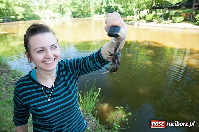 Zdjęcie w galerii na portalu naszraciborz.pl: Złowili płotki, uwolnili suma. Zawody o Złotą Łuskę ZSZ i Puchar Dyrektora OSiR wiadomości z regionu