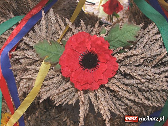 Zdjęcie w galerii na portalu naszraciborz.pl: Kto dobrze ORZE ... wiadomości z regionu