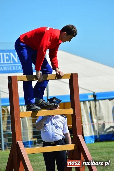 Zdjęcie w galerii na portalu naszraciborz.pl: Strażacy z Samborowic bezkonkurencyjni w całej gminie! Zgarnęli trzy pierwsze miejsca wiadomości z regionu