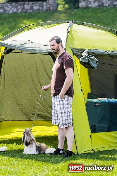 Zdjęcie w galerii na portalu naszraciborz.pl: Drugi dzień Krajowej Wystawy Psów Rasowych wiadomości z regionu