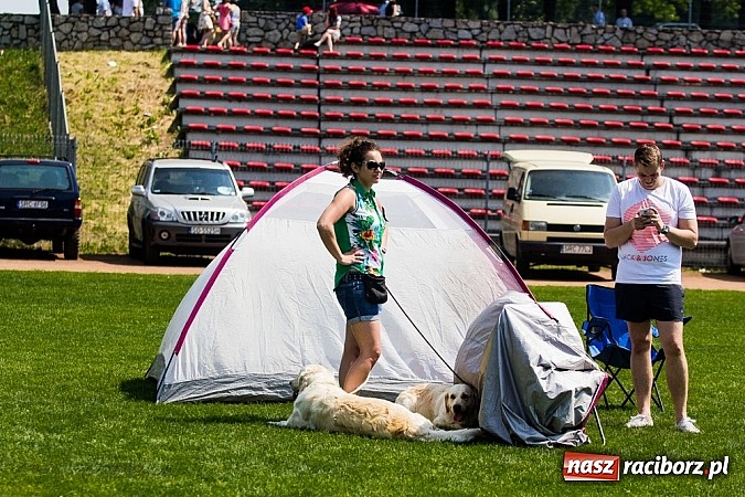 Zdjęcie w galerii na portalu naszraciborz.pl: Drugi dzień Krajowej Wystawy Psów Rasowych wiadomości z regionu