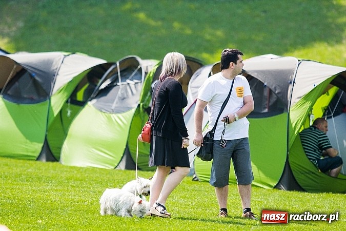 Zdjęcie w galerii na portalu naszraciborz.pl: Drugi dzień Krajowej Wystawy Psów Rasowych wiadomości z regionu