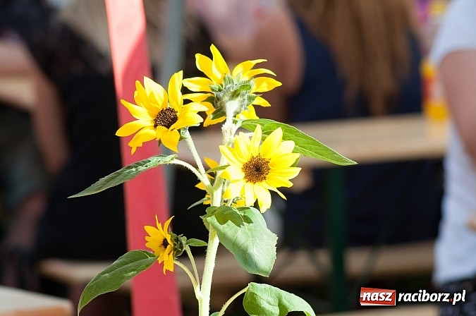Zdjęcie w galerii na portalu naszraciborz.pl: Jest grochówka, kawa i ciasto - nie warto wyjeżdżać na miasto. I od wielkiego święta - zagrała orkiestra dęta wiadomości z regionu