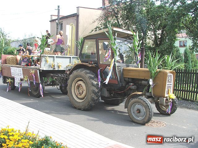 Zdjęcie w galerii na portalu naszraciborz.pl: Dożynkowy festyn w Sudole wiadomości z regionu