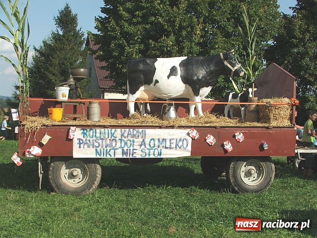 Zdjęcie w galerii na portalu naszraciborz.pl: Dożynkowy festyn w Sudole wiadomości z regionu