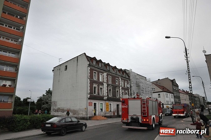 Zdjęcie w galerii na portalu naszraciborz.pl: Spalony garnek, pożar trawy i zabezpieczanie lasu - działania strażaków wiadomości z regionu