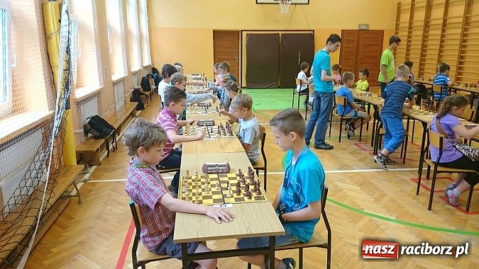 Zdjęcie w galerii na portalu naszraciborz.pl: Urodzaj na małych mistrzów szachowych w SP4  wiadomości z regionu