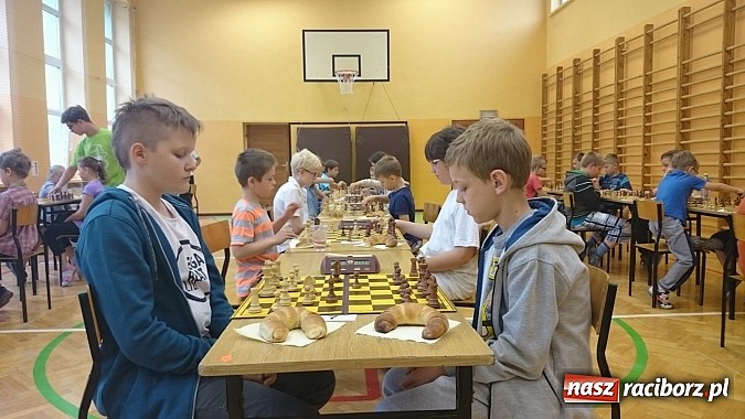 Zdjęcie w galerii na portalu naszraciborz.pl: Urodzaj na małych mistrzów szachowych w SP4  wiadomości z regionu