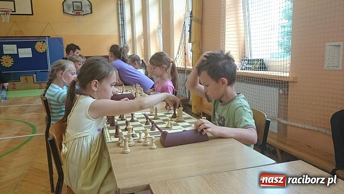 Zdjęcie w galerii na portalu naszraciborz.pl: Urodzaj na małych mistrzów szachowych w SP4  wiadomości z regionu