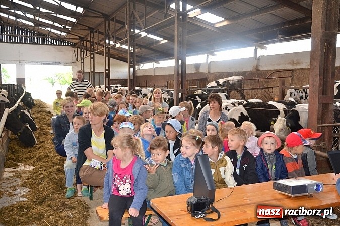 Zdjęcie w galerii na portalu naszraciborz.pl: Dzieci z Wojnowic już wiedzą jak powstaje nabiał i ich ulubione danonki wiadomości z regionu