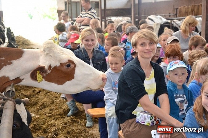 Zdjęcie w galerii na portalu naszraciborz.pl: Dzieci z Wojnowic już wiedzą jak powstaje nabiał i ich ulubione danonki wiadomości z regionu
