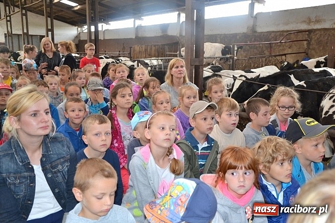 Zdjęcie w galerii na portalu naszraciborz.pl: Dzieci z Wojnowic już wiedzą jak powstaje nabiał i ich ulubione danonki wiadomości z regionu