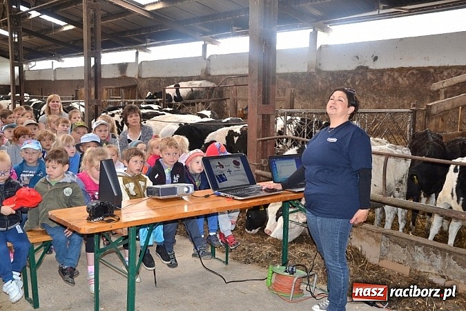 Zdjęcie w galerii na portalu naszraciborz.pl: Dzieci z Wojnowic już wiedzą jak powstaje nabiał i ich ulubione danonki wiadomości z regionu