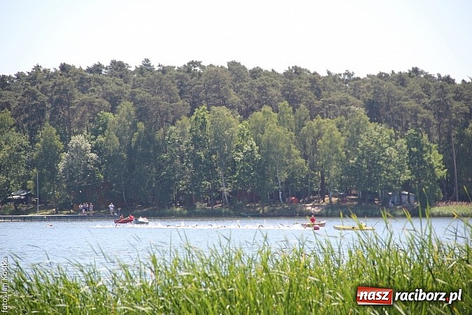 Zdjęcie w galerii na portalu naszraciborz.pl: Sukcesy triathlonist&oacute;w z Raciborza w Grand Prix Polski w Głuchowie wiadomości z regionu