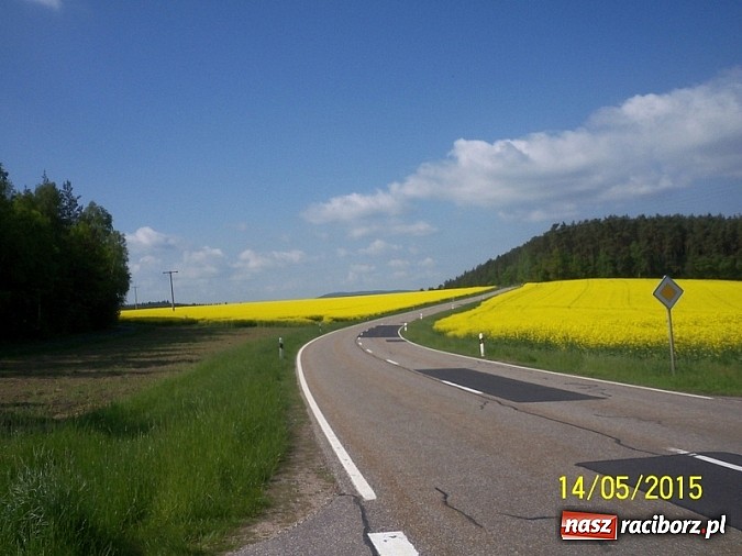 Zdjęcie w galerii na portalu naszraciborz.pl: Damian Mika wraz z ekipą pokonał ponad 1300 km na rowerze! Zobacz zdjęcia z wyprawy wiadomości z regionu