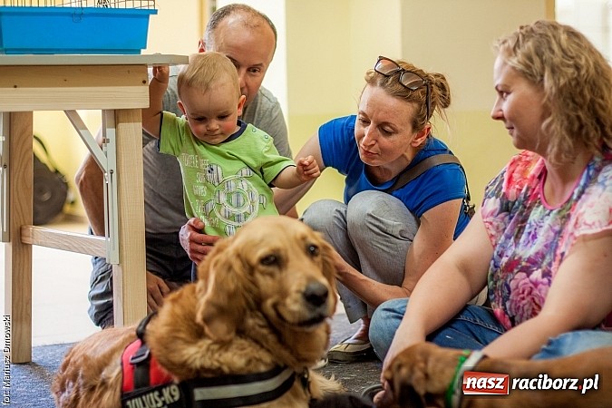 Zdjęcie w galerii na portalu naszraciborz.pl: Rodzinnie na festynie przy Londzina wiadomości z regionu