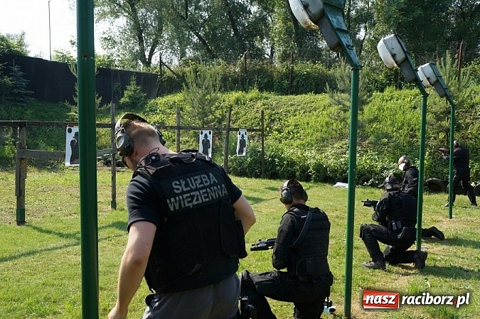 Zdjęcie w galerii na portalu naszraciborz.pl: Międzynarodowe konsultacje instruktorów wyszkolenia strzeleckiego wiadomości z regionu