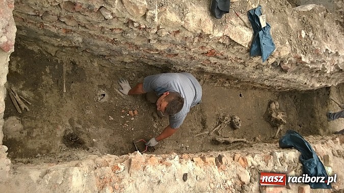 Zdjęcie w galerii na portalu naszraciborz.pl: Archeolodzy znajdują kolejne pochówki przy kościele św. Jakuba wiadomości z regionu