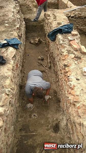 Zdjęcie w galerii na portalu naszraciborz.pl: Archeolodzy znajdują kolejne pochówki przy kościele św. Jakuba wiadomości z regionu