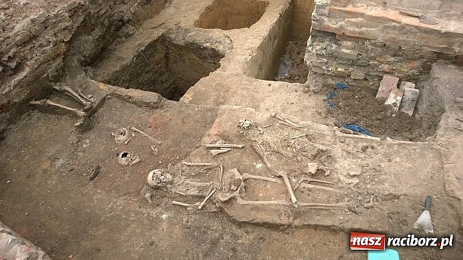Zdjęcie w galerii na portalu naszraciborz.pl: Archeolodzy znajdują kolejne pochówki przy kościele św. Jakuba wiadomości z regionu