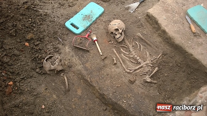 Zdjęcie w galerii na portalu naszraciborz.pl: Archeolodzy znajdują kolejne pochówki przy kościele św. Jakuba wiadomości z regionu