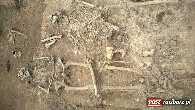 Zdjęcie w galerii na portalu naszraciborz.pl: Archeolodzy znajdują kolejne pochówki przy kościele św. Jakuba wiadomości z regionu
