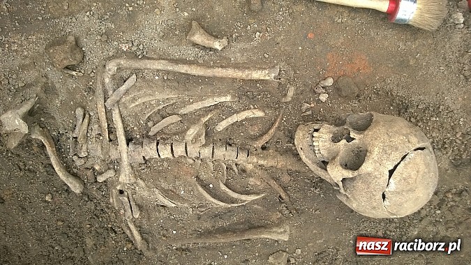 Zdjęcie w galerii na portalu naszraciborz.pl: Archeolodzy znajdują kolejne pochówki przy kościele św. Jakuba wiadomości z regionu