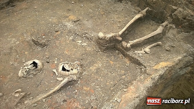 Zdjęcie w galerii na portalu naszraciborz.pl: Archeolodzy znajdują kolejne pochówki przy kościele św. Jakuba wiadomości z regionu