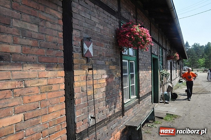 Zdjęcie w galerii na portalu naszraciborz.pl: Industriada 2015 na stacji w Rudach - upał nie przegonił turystów  wiadomości z regionu