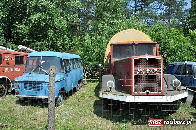 Zdjęcie w galerii na portalu naszraciborz.pl: Industriada 2015 na stacji w Rudach - upał nie przegonił turystów  wiadomości z regionu