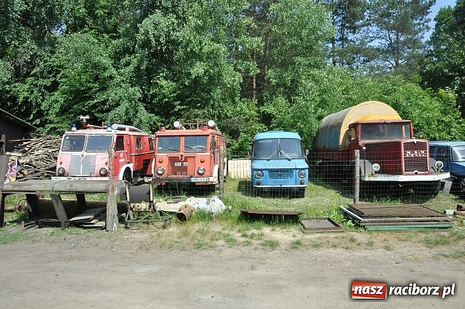 Zdjęcie w galerii na portalu naszraciborz.pl: Industriada 2015 na stacji w Rudach - upał nie przegonił turystów  wiadomości z regionu