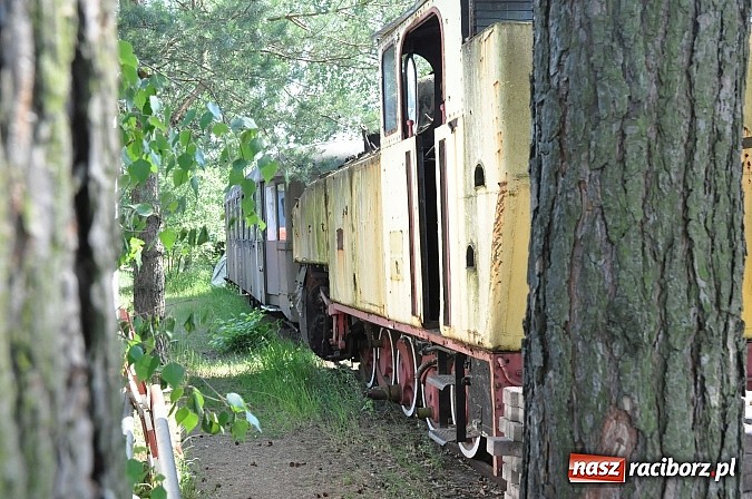 Zdjęcie w galerii na portalu naszraciborz.pl: Industriada 2015 na stacji w Rudach - upał nie przegonił turystów  wiadomości z regionu