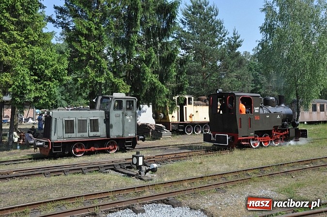 Zdjęcie w galerii na portalu naszraciborz.pl: Industriada 2015 na stacji w Rudach - upał nie przegonił turystów  wiadomości z regionu