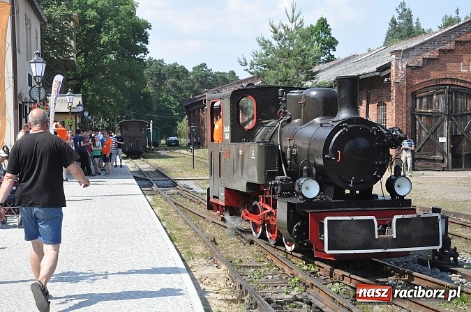 Zdjęcie w galerii na portalu naszraciborz.pl: Industriada 2015 na stacji w Rudach - upał nie przegonił turystów  wiadomości z regionu
