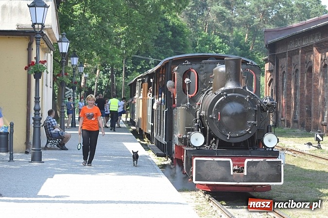 Zdjęcie w galerii na portalu naszraciborz.pl: Industriada 2015 na stacji w Rudach - upał nie przegonił turystów  wiadomości z regionu