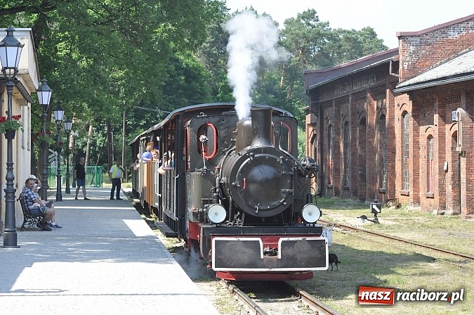 Zdjęcie w galerii na portalu naszraciborz.pl: Industriada 2015 na stacji w Rudach - upał nie przegonił turystów  wiadomości z regionu