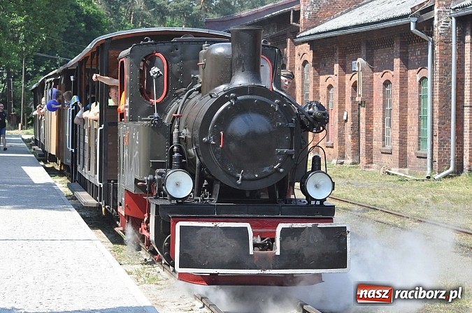 Zdjęcie w galerii na portalu naszraciborz.pl: Industriada 2015 na stacji w Rudach - upał nie przegonił turystów  wiadomości z regionu