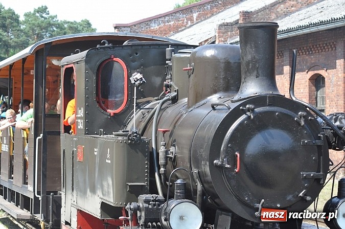 Zdjęcie w galerii na portalu naszraciborz.pl: Industriada 2015 na stacji w Rudach - upał nie przegonił turystów  wiadomości z regionu