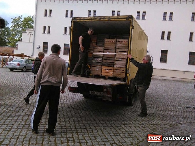 Zdjęcie w galerii na portalu naszraciborz.pl: Święto jabłka w SP-4 wiadomości z regionu