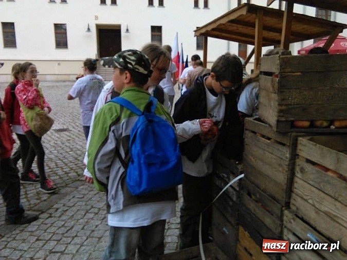 Zdjęcie w galerii na portalu naszraciborz.pl: Święto jabłka w SP-4 wiadomości z regionu