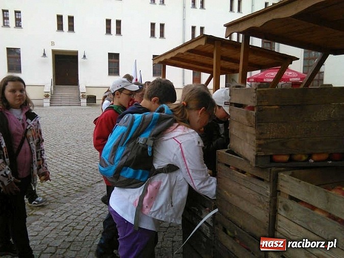 Zdjęcie w galerii na portalu naszraciborz.pl: Święto jabłka w SP-4 wiadomości z regionu
