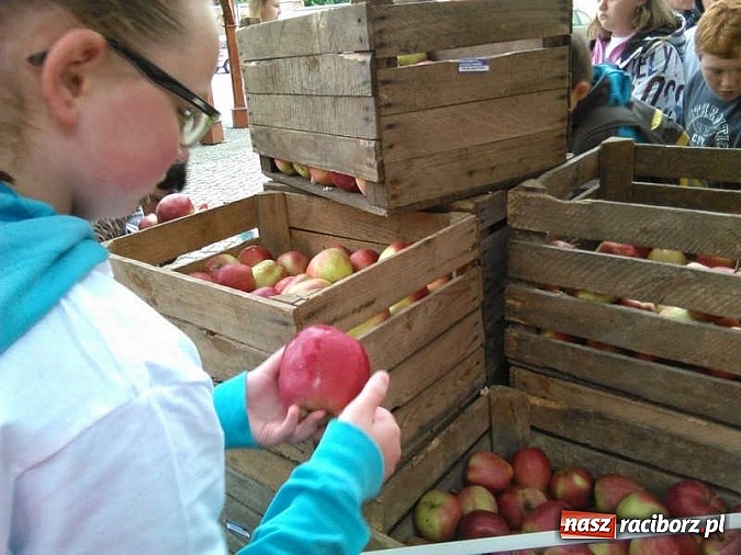 Zdjęcie w galerii na portalu naszraciborz.pl: Święto jabłka w SP-4 wiadomości z regionu