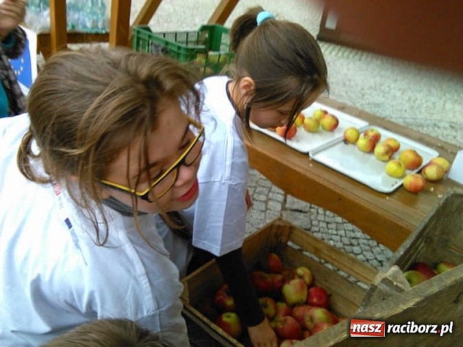 Zdjęcie w galerii na portalu naszraciborz.pl: Święto jabłka w SP-4 wiadomości z regionu