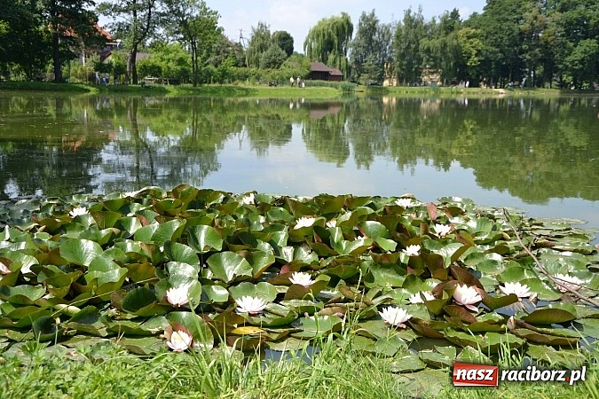 Zdjęcie w galerii na portalu naszraciborz.pl: Tworków. Łowili o puchar wójta wiadomości z regionu