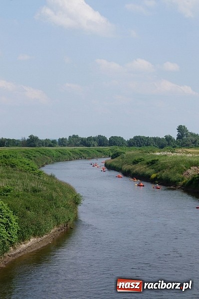 Zdjęcie w galerii na portalu naszraciborz.pl: Spływ kajakowy Bohumin- Racibórz wiadomości z regionu
