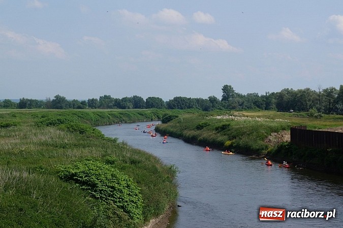 Zdjęcie w galerii na portalu naszraciborz.pl: Spływ kajakowy Bohumin- Racibórz wiadomości z regionu