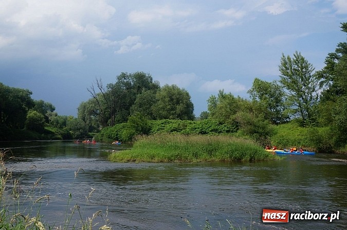 Zdjęcie w galerii na portalu naszraciborz.pl: Spływ kajakowy Bohumin- Racibórz wiadomości z regionu