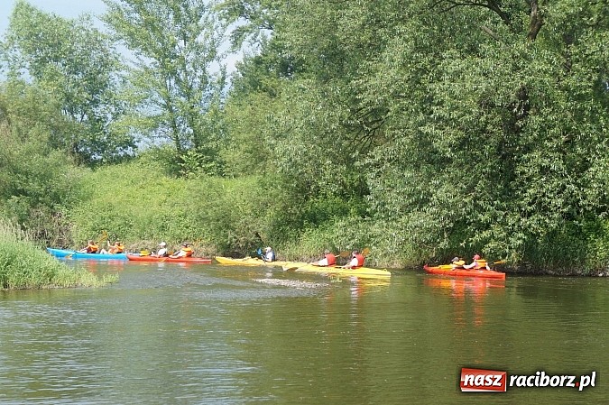 Zdjęcie w galerii na portalu naszraciborz.pl: Spływ kajakowy Bohumin- Racibórz wiadomości z regionu