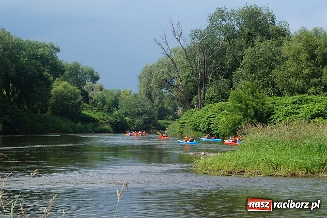 Zdjęcie w galerii na portalu naszraciborz.pl: Spływ kajakowy Bohumin- Racibórz wiadomości z regionu
